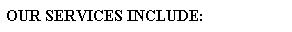 Text Box: OUR SERVICES INCLUDE:
